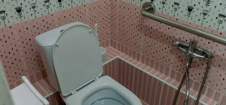 Meeting Diverse Needs With Accessible Restroom Solutions in Clarksburg, WV
