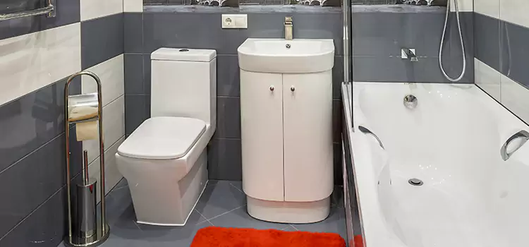 Hansgrohe Shaving Mirror Clarksburg
