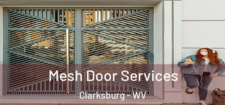 Mesh Door Services Clarksburg - WV